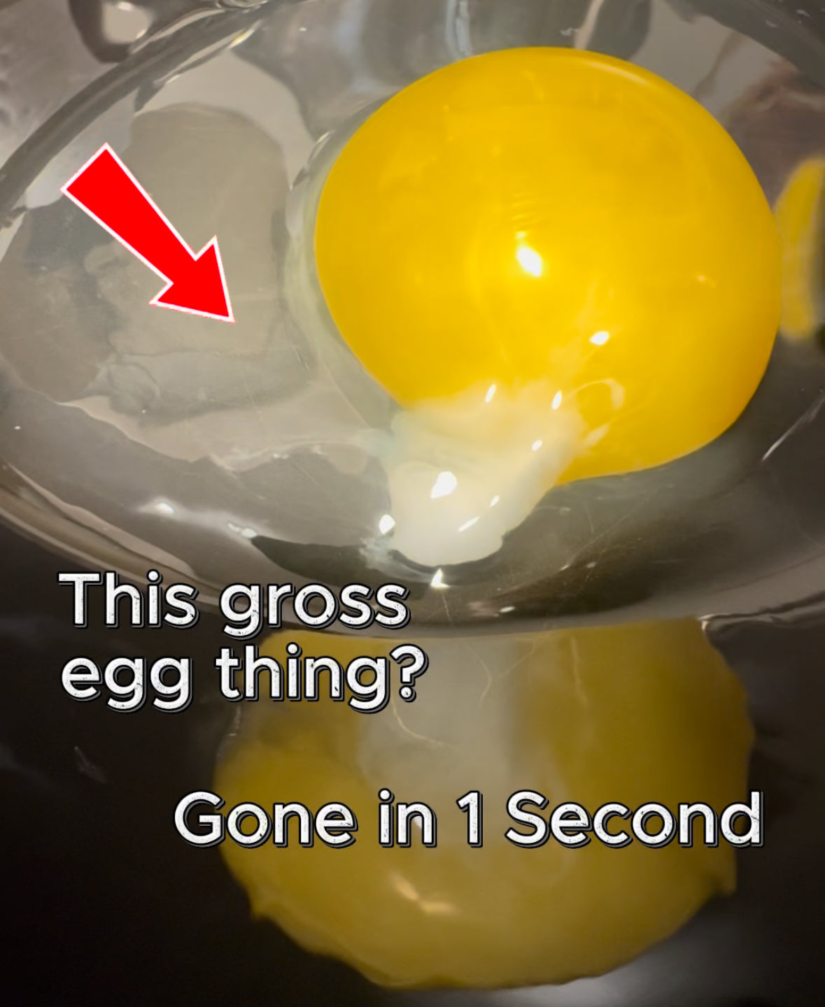 The NewYolk Egg Tool *Buy 2 get Free Shipping to CAN & US